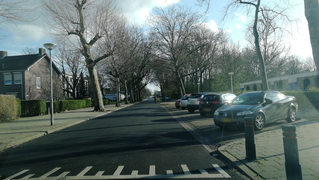 Springkuil